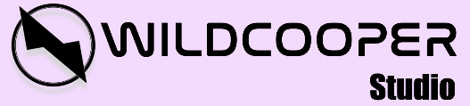 Wildcooper studio